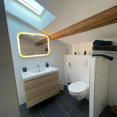 Superbe En Duplex - 4/6 Pers - 1er Etage - Sur L'eau Apartmán