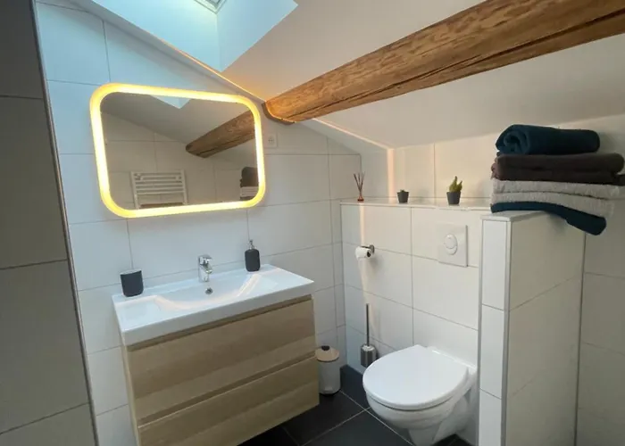 Superbe En Duplex - 4/6 Pers - 1er Etage - Sur L'eau アパート